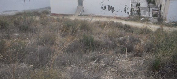 Grundstück in Olula del Rio, Spain 10333m², Nr. 61701 15