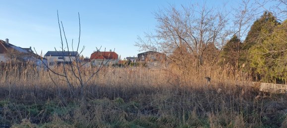 Земельный участок в Гольс, Австрия № 70255 3