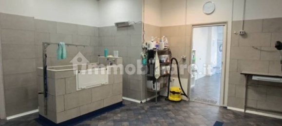 2 rooms Commercial property in Rome, Italy No. 34506 16