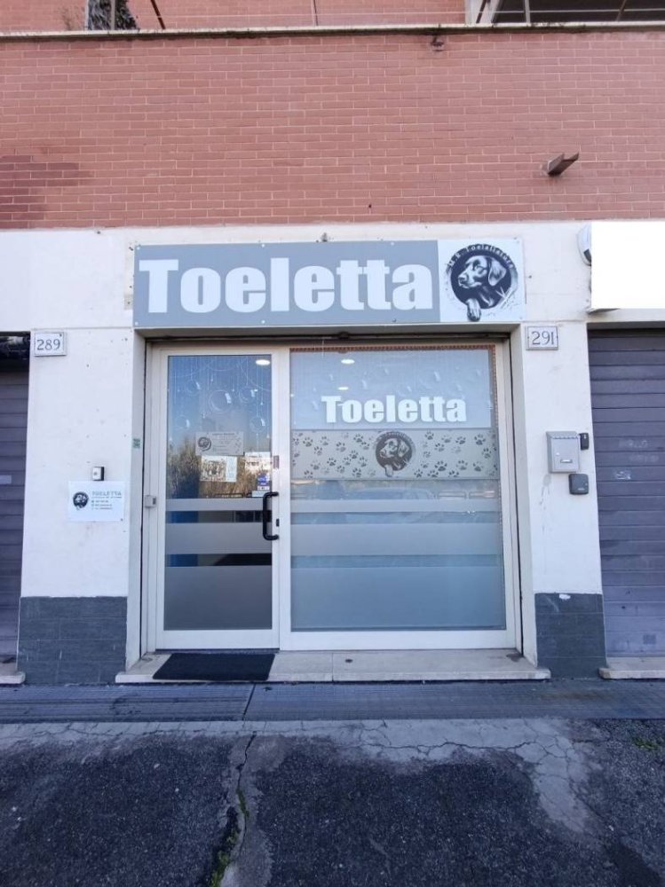 2 rooms Commercial property in Rome, Italy No. 34506