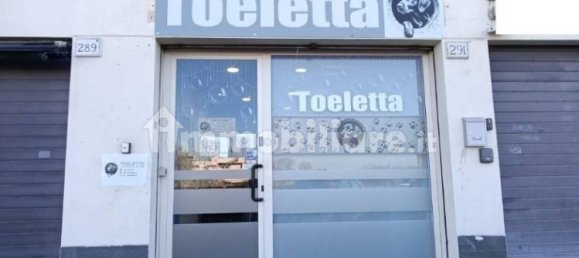 2 rooms Commercial property in Rome, Italy No. 34506 5