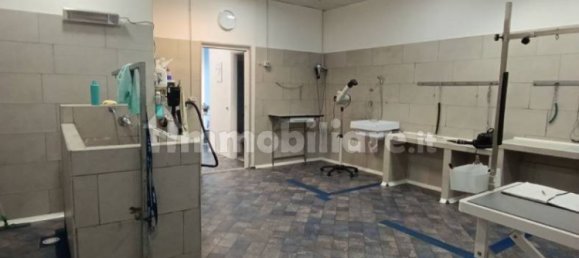 2 rooms Commercial property in Rome, Italy No. 34506 12