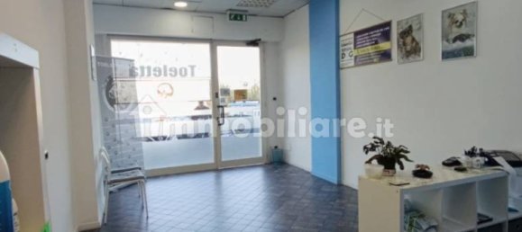 2 rooms Commercial property in Rome, Italy No. 34506 17