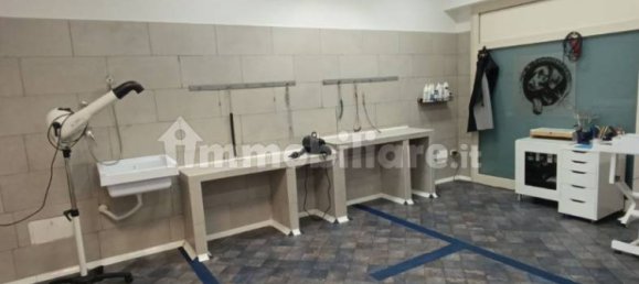 2 rooms Commercial property in Rome, Italy No. 34506 10