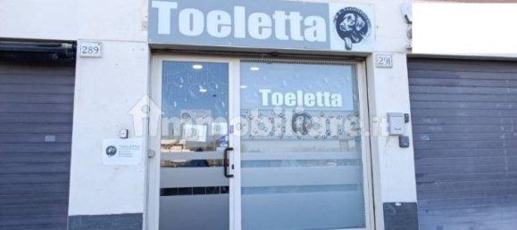 2 rooms Commercial property in Rome, Italy No. 34506 6