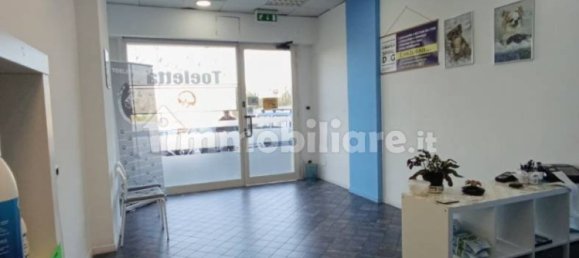 2 rooms Commercial property in Rome, Italy No. 34506 21