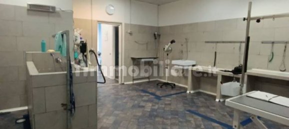 2 rooms Commercial property in Rome, Italy No. 34506 11