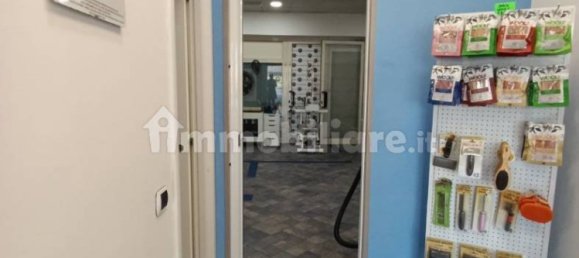 2 rooms Commercial property in Rome, Italy No. 34506 18