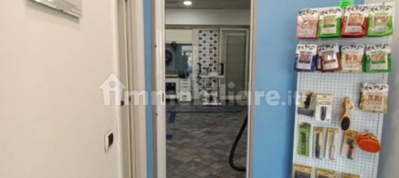 2 rooms Commercial property in Rome, Italy No. 34506 19