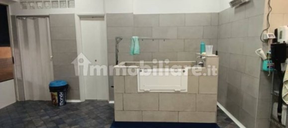 2 rooms Commercial property in Rome, Italy No. 34506 14