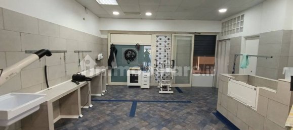 2 rooms Commercial property in Rome, Italy No. 34506 24