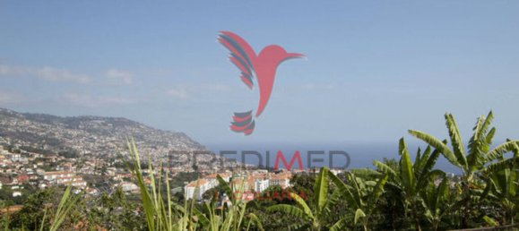 3 chambres Maison à Funchal, Portugal No. 145872 6