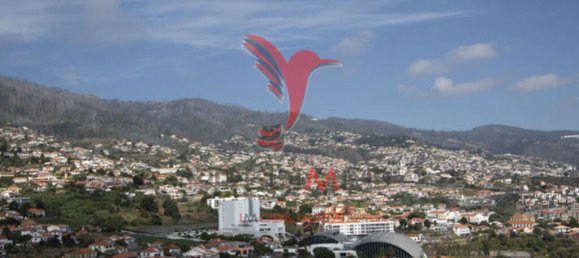 3 chambres Maison à Funchal, Portugal No. 145872 5