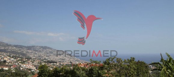 3 chambres Maison à Funchal, Portugal No. 145872 3