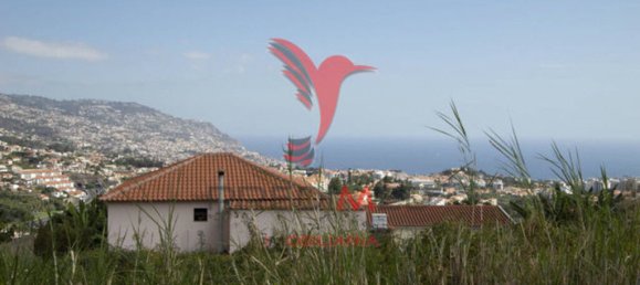 3 chambres Maison à Funchal, Portugal No. 145872 16