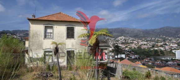 3 chambres Maison à Funchal, Portugal No. 145872 7