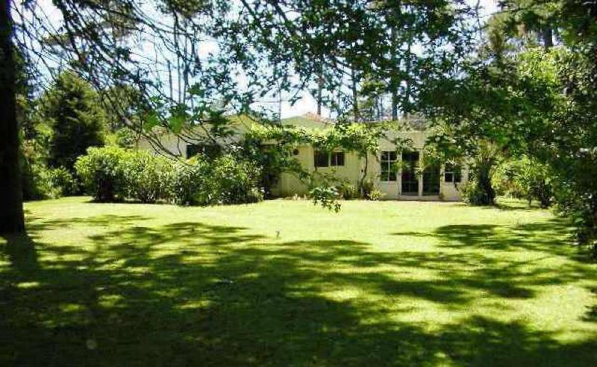 2 bedrooms House in Maldonado, Uruguay No. 5568