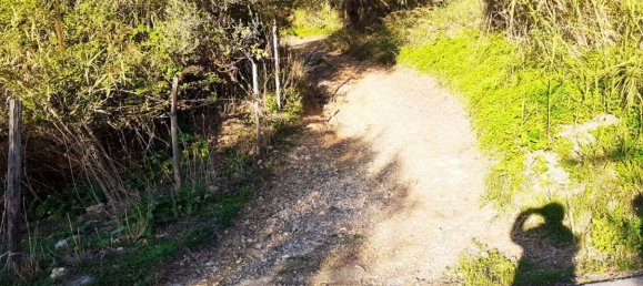 2 rooms House in Cetraro, Italy No. 128772 14