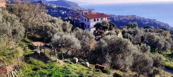 2 rooms House in Cetraro, Italy No. 128772 3