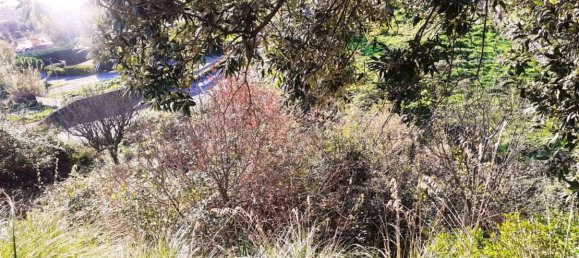 2 rooms House in Cetraro, Italy No. 128772 6