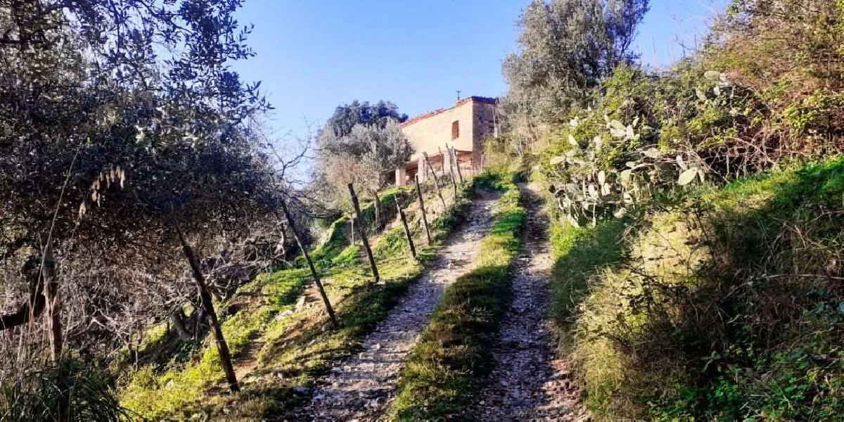 2 rooms House in Cetraro, Italy No. 128772