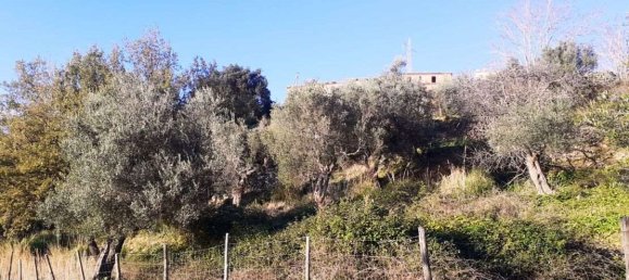 2 rooms House in Cetraro, Italy No. 128772 2