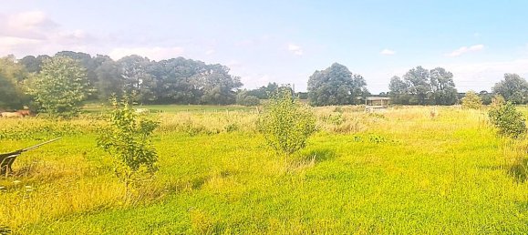 Granja de 5 dormitorios en Oberhavel, Germany No. 372132 8