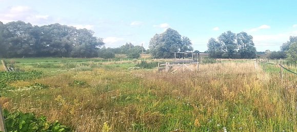 Granja de 5 dormitorios en Oberhavel, Germany No. 372132 9