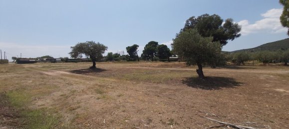 5000m² Hotel in Chalkidiki, Greece No. 3872 2