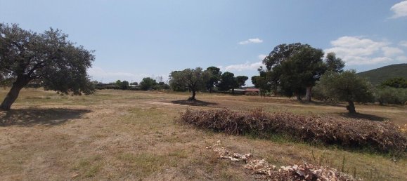 5000m² Hotel in Chalkidiki, Greece No. 3872 4