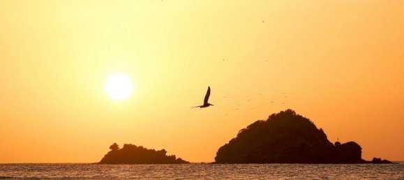 Terreno em Jennings, Antigua and Barbuda 526092 m² N.º 52 8