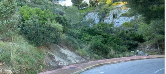 724m² Land in Castellon, Spain No. 166269 4