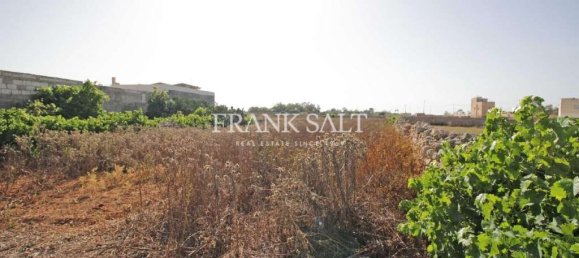 2 bedrooms Farm in Xghajra, Malta No. 1824 2