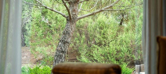 3 bedrooms House in Grandola, Portugal No. 18605 44