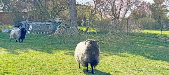 2 rooms Apartment in Ostholstein, Germany No. 325404 14