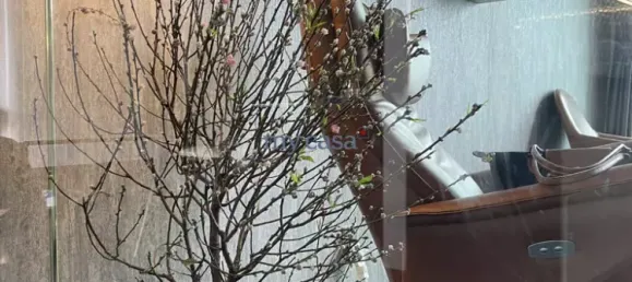 3 bedrooms Apartment in Thu Duc, Vietnam No. 8581 2