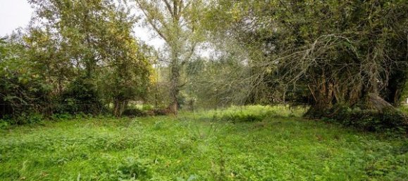 Casa T1 em São Pedro do Sul, Portugal N.º 169519 8