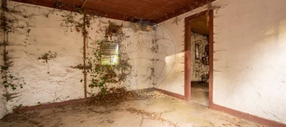 Casa T1 em São Pedro do Sul, Portugal N.º 169519 5