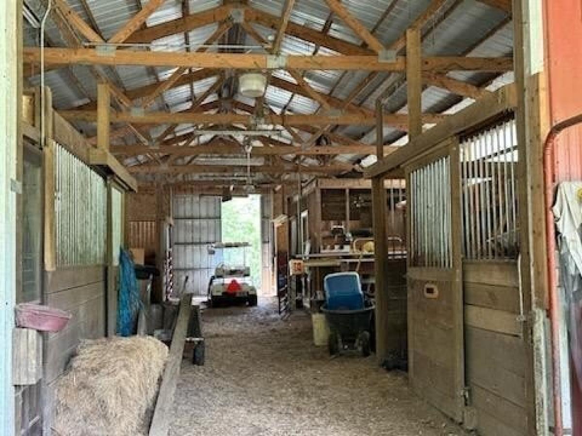 3 bedrooms House in San Pierre, USA No. 389685