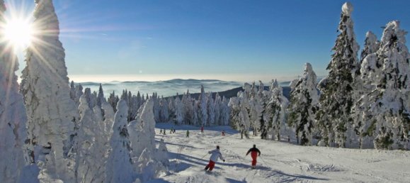 Ático de 39 habitaciónes en Freyung-Grafenau, Germany No. 356597 5