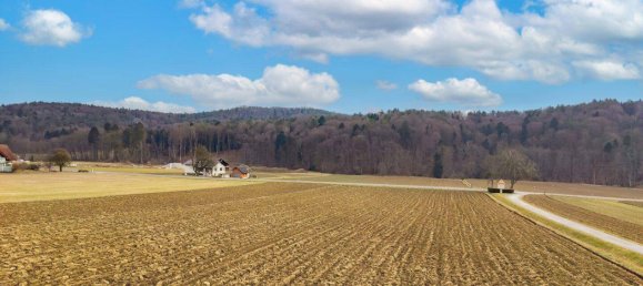 Дом с 10 комнатами в Фельдбах, Австрия № 139910 20