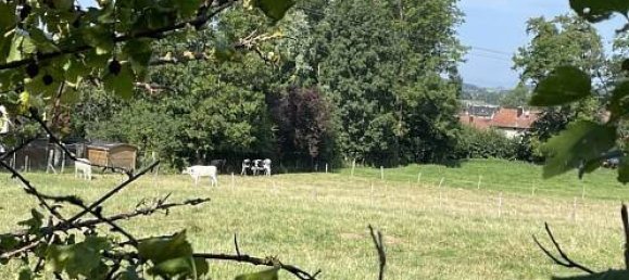 6 Schlafzimmer Stadthaus in Durmenach, France, Nr. 94373 9