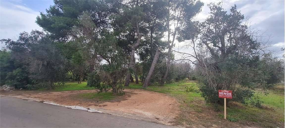 Terreno en Collepasso, Italy 1143 m² No. 86438