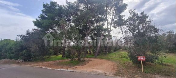 Terreno en Collepasso, Italy 1143 m² No. 86438 2