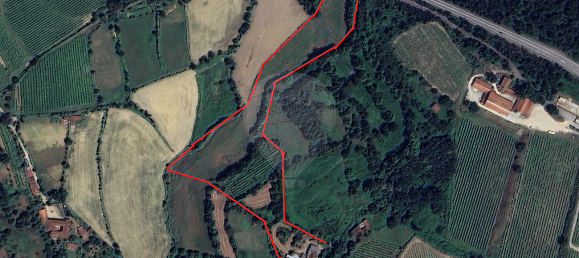 Дом с 4 спальнями в Faia, Португалия № 38523 4