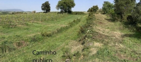 Grundstück in Torres Vedras, Portugal 90073m², Nr. 254531 13