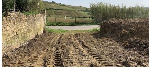 Grundstück in Torres Vedras, Portugal 90073m², Nr. 254531 8