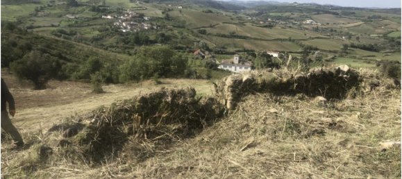 Grundstück in Torres Vedras, Portugal 90073m², Nr. 254531 11