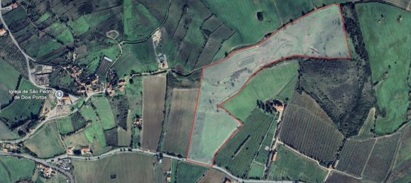 Grundstück in Torres Vedras, Portugal 90073m², Nr. 254531 5