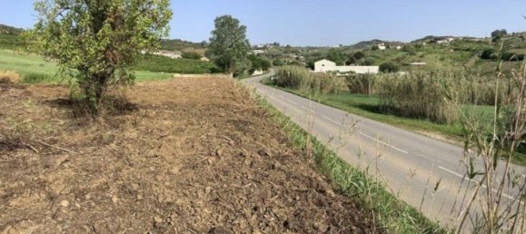 Grundstück in Torres Vedras, Portugal 90073m², Nr. 254531 6